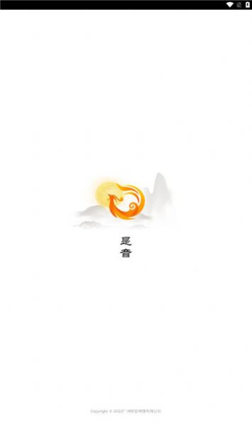 是音app图3