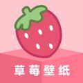 草莓壁纸app软件 v1.7.0