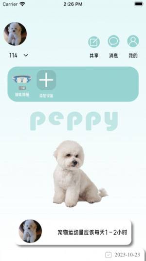 宠悦悦软件app图片2