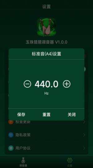 玉珠琵琶调音器app图1