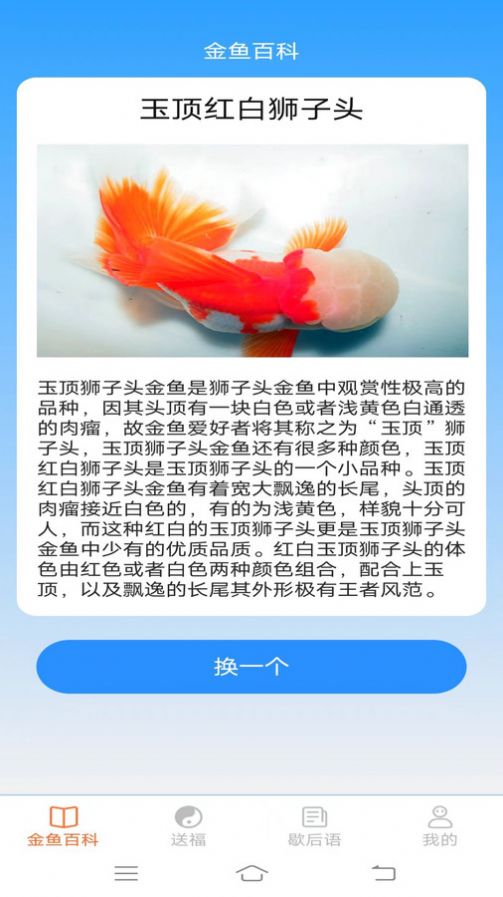 金鱼招福app图1