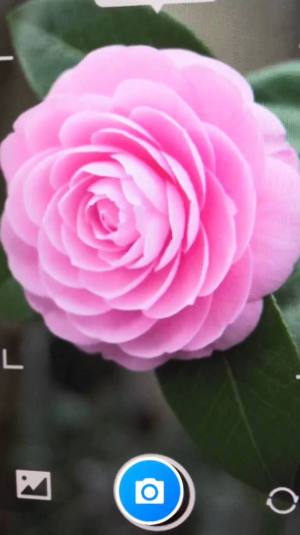 月光工具盒子下载安装app图片1