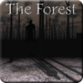 兰德里纳河的森林游戏手机版下载 v1.02
