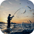海洋天气通app手机版 v3.1.2