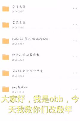 pubg小言魔改obb版怎么用  吃鸡pubg小言魔改obb版使用攻略[多图]图片1