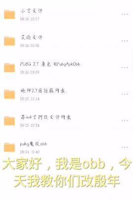 pubg小言魔改obb版怎么用  吃鸡pubg小言魔改obb版使用攻略图片1