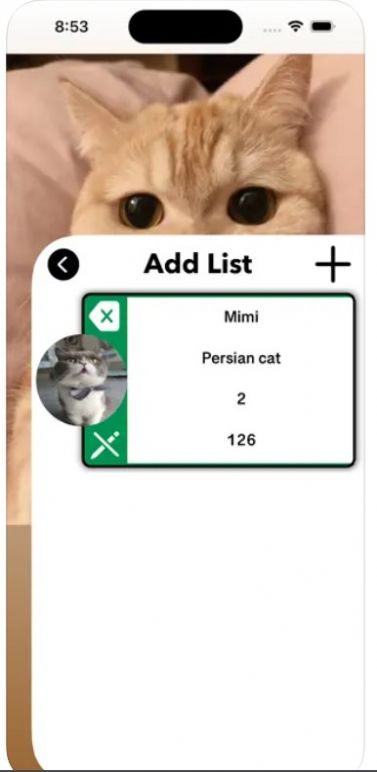 爱猫物语宠物店app图1