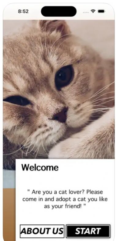爱猫物语宠物店免费下载正式版图片1