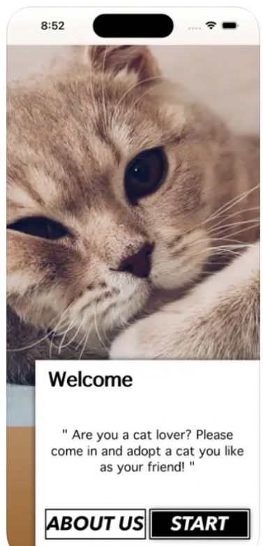 爱猫物语宠物店怎么玩  爱猫物语宠物店游戏攻略大全[多图]