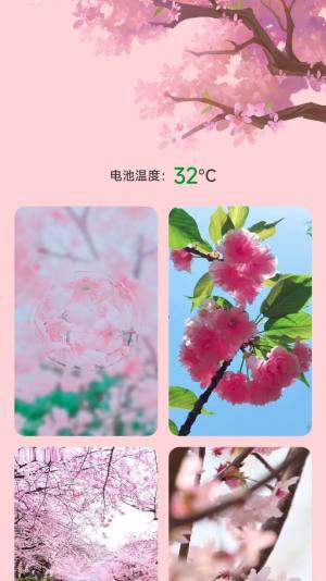 樱花充电app图2