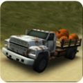 Dirt Road Trucker 3D中文版