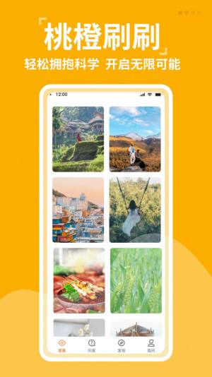 桃橙刷刷app手机版图片1