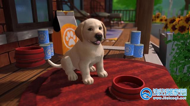 养小狗的游戏3d有哪些-养小狗的游戏推荐-模拟养小狗的小游戏大全