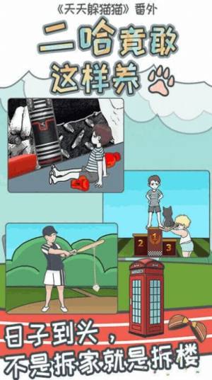 二哈竟能这么养游戏官方版图片1