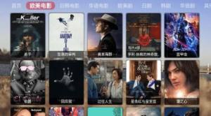 智字影视软件下载安装安卓版图片3