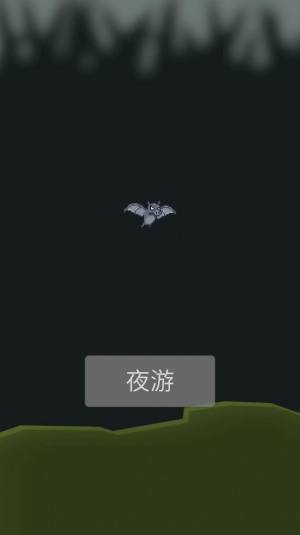 小蝙蝠夜游记游戏图1