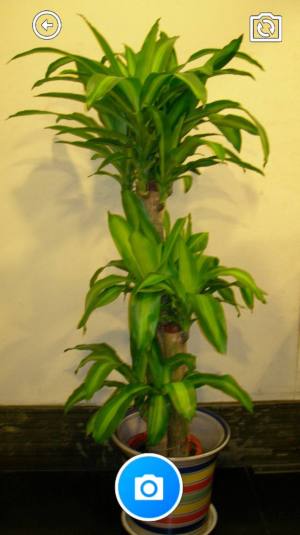 乐多宝盒软件下载手机版图片4