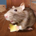 鼠鼠我呀游戏官方安卓版 v1.0