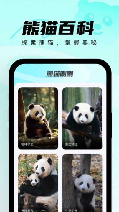 熊猫刷刷app图2