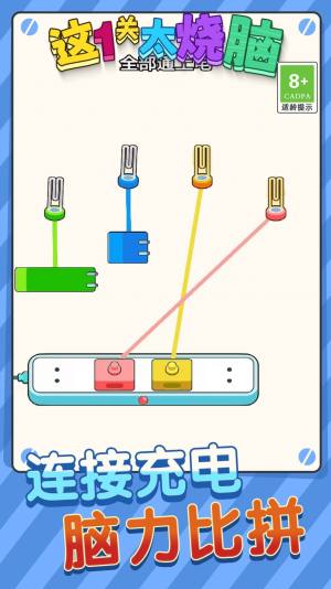 这一关太烧脑游戏图1
