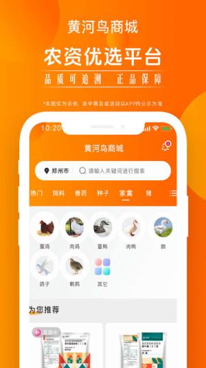 黄河鸟商城app图2