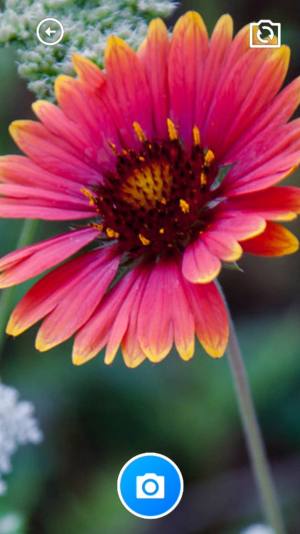 易享生活通app安卓版图片4