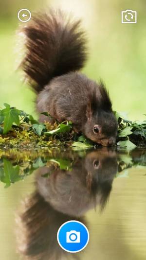 锦绣实用宝匣软件下载手机版图片3