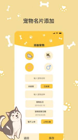 猫语翻译Pro app图2