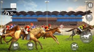 我的骑马世界游戏中文版下载(My Stable Horse Racing Games)图片1