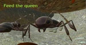 3d蚂蚁模拟器游戏图3
