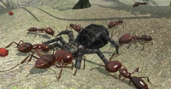3d蚂蚁模拟器游戏图2