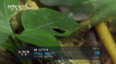 瑶瑶TV app图5