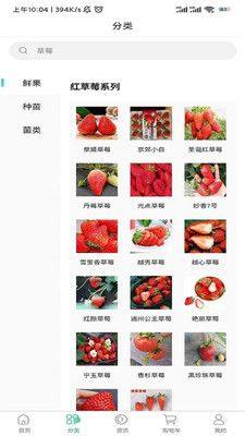 泉水草莓app图1