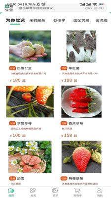 泉水草莓app图3
