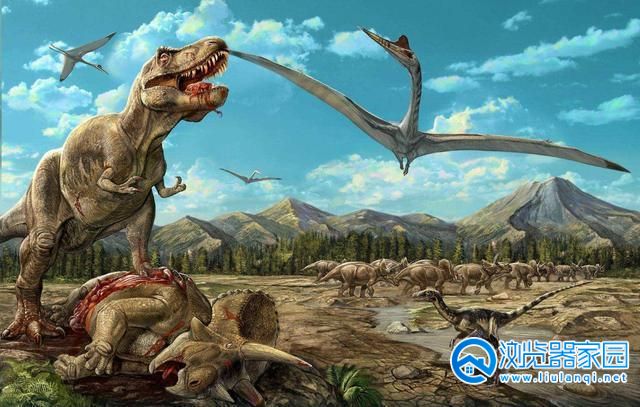恐龙进化生存游戏合集