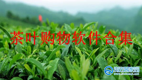 茶叶购物软件合集