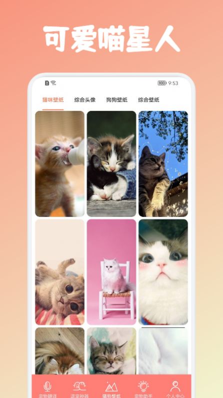 安猫app图3