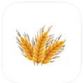 麦麦小能助软件app手机版 v1.0