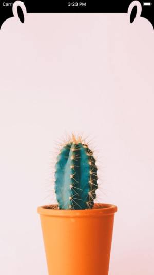 Notch刘海壁纸app官方版图片1