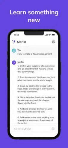 Merlin app图1