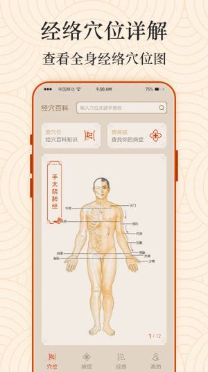 Ai经络穴位图app图3