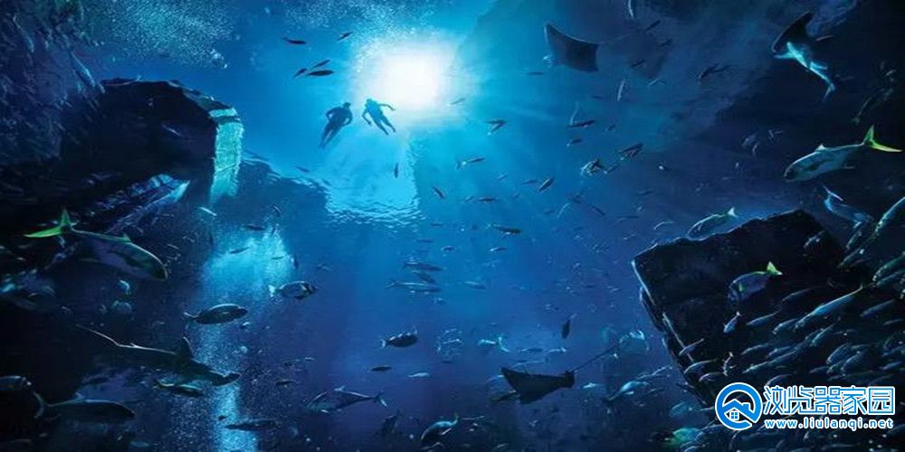 海底冒险类游戏有哪些-海底冒险类游戏推荐-海底冒险类游戏2023