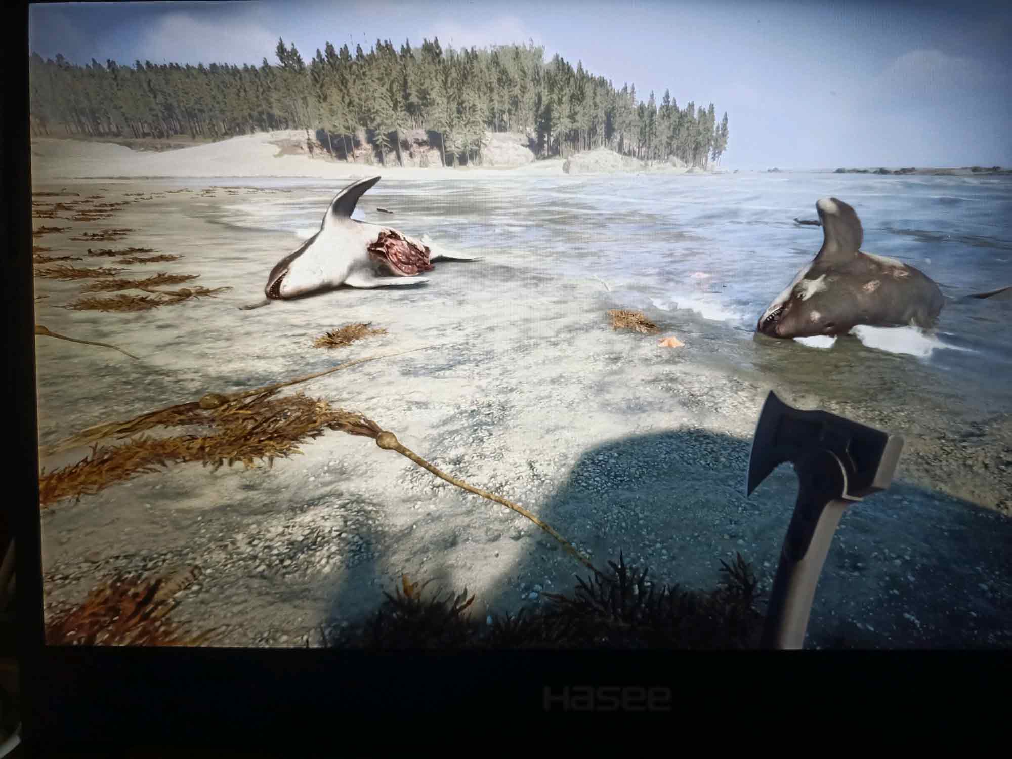 森林之子绳子怎么做  绳子合成制作攻略[图]