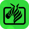 斑马视频助手编辑app安卓版下载 v1.1