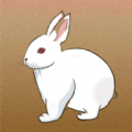 守住小兔子游戏官方版 v1.0