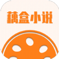 藕盒小说app官方版 1.0