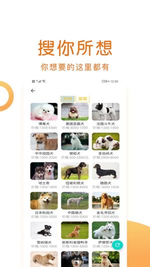 乐虎宠物国际app图1