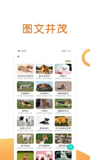 乐虎宠物国际app图3