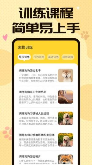 猫狗翻译交流器app图2