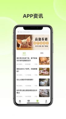 衢江生猪农合联智慧云app图1
